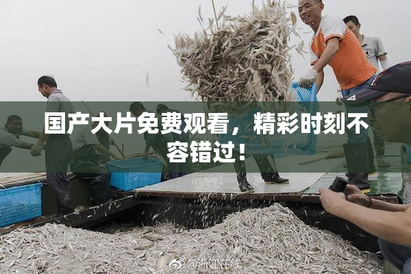 国产大片免费观看，精彩时刻不容错过！
