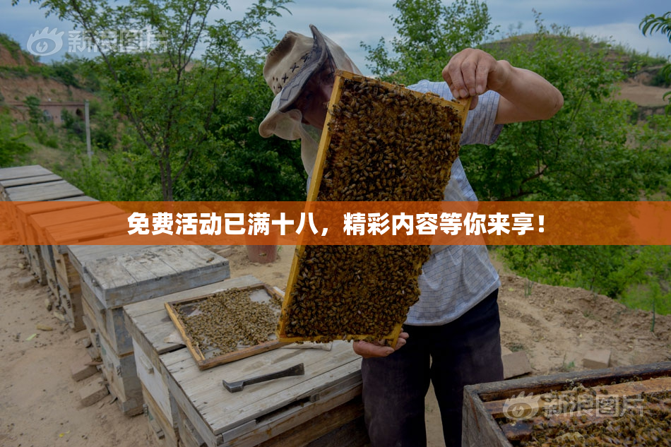 免费活动已满十八，精彩内容等你来享！