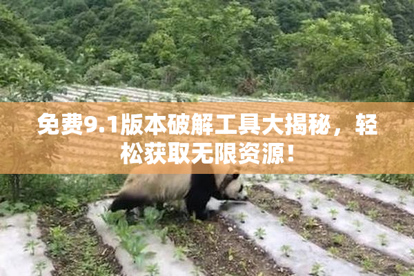 免费9.1版本破解工具大揭秘，轻松获取无限资源！