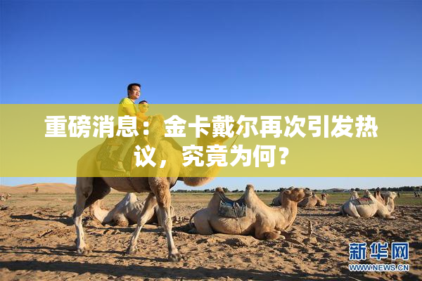 重磅消息：金卡戴尔再次引发热议，究竟为何？