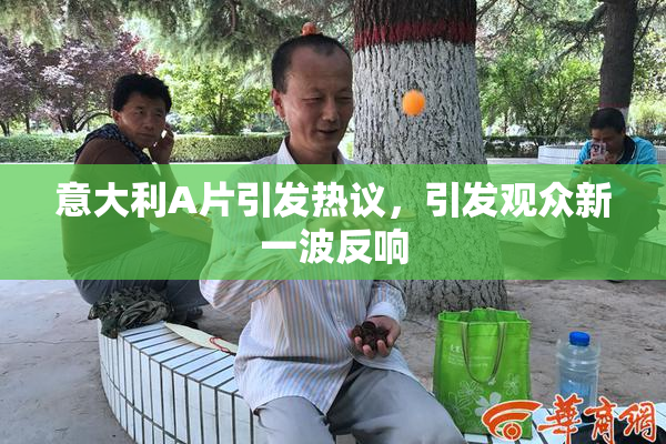意大利A片引发热议，引发观众新一波反响