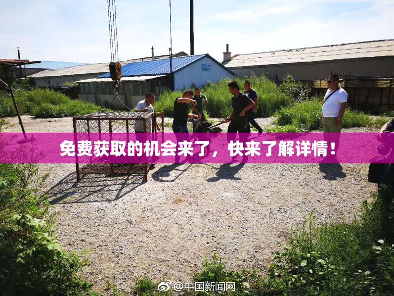免费获取的机会来了，快来了解详情！