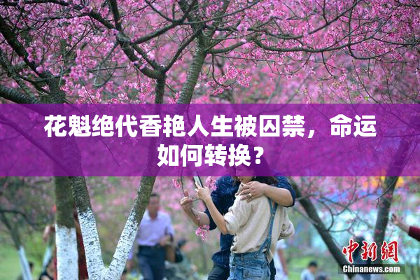 花魁绝代香艳人生被囚禁，命运如何转换？