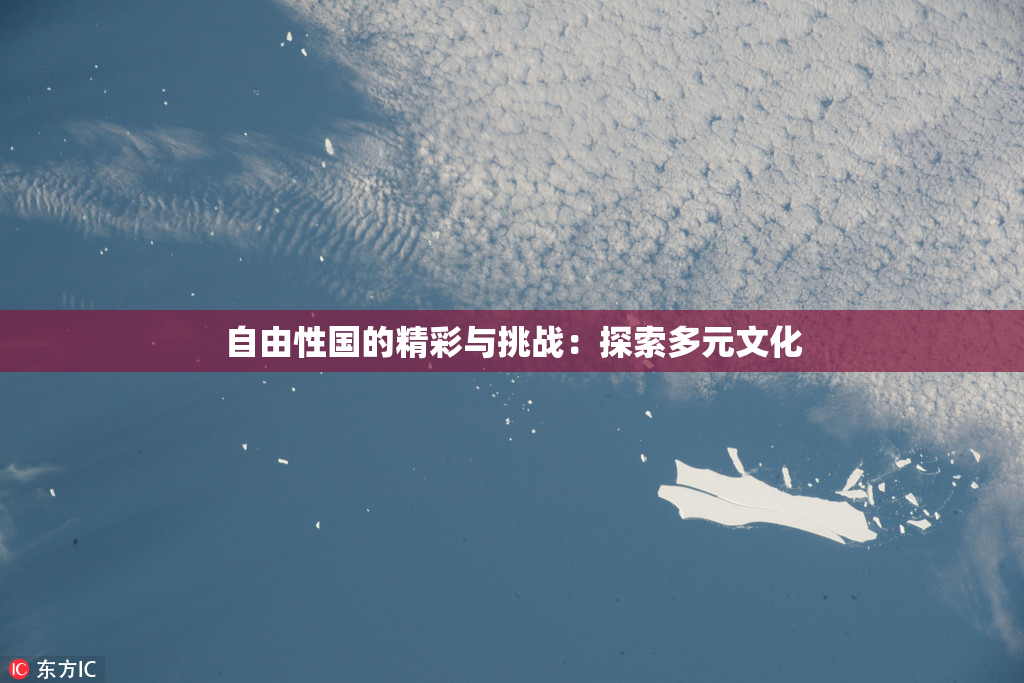 自由性国的精彩与挑战：探索多元文化