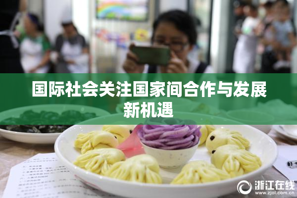 国际社会关注国家间合作与发展新机遇