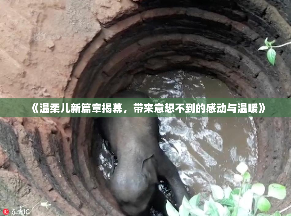 《温柔儿新篇章揭幕，带来意想不到的感动与温暖》