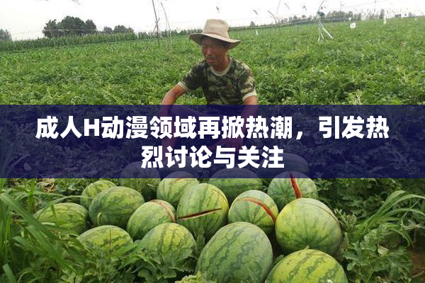 成人H动漫领域再掀热潮，引发热烈讨论与关注
