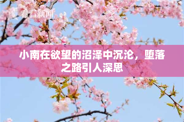 小南在欲望的沼泽中沉沦，堕落之路引人深思