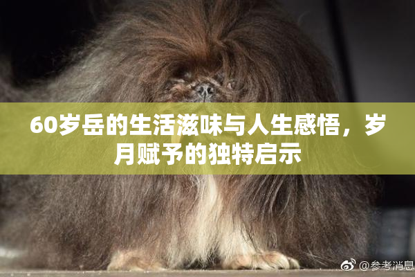60岁岳的生活滋味与人生感悟，岁月赋予的独特启示
