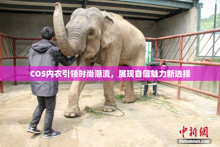 COS内衣引领时尚潮流，展现自信魅力新选择