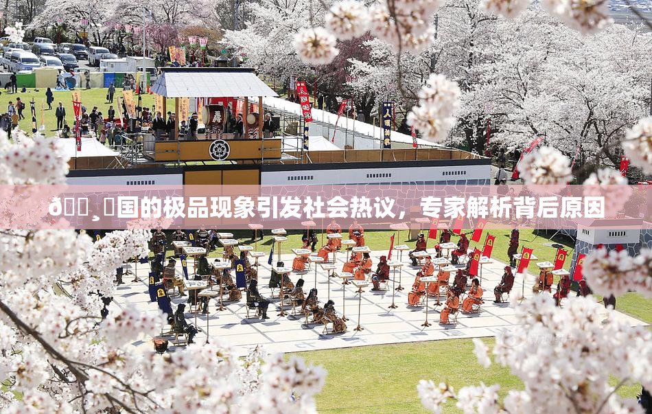 🌸‌国的极品现象引发社会热议，专家解析背后原因