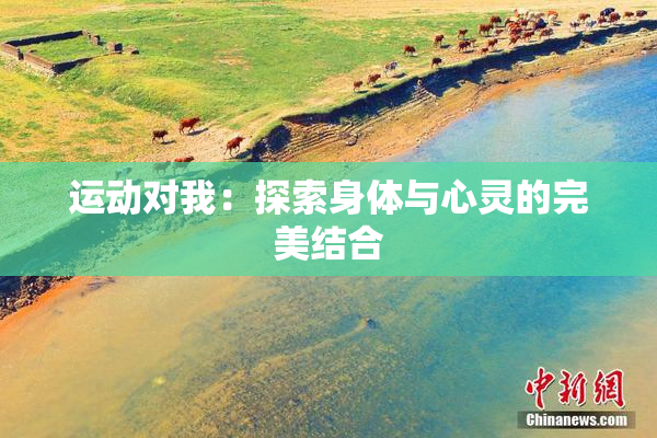 运动对我：探索身体与心灵的完美结合