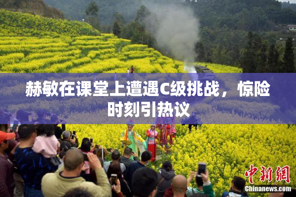 赫敏在课堂上遭遇C级挑战，惊险时刻引热议