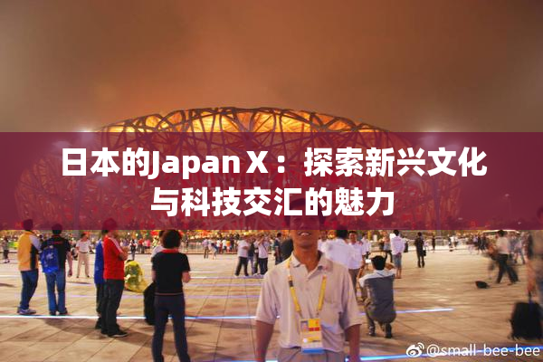 日本的JapanⅩ：探索新兴文化与科技交汇的魅力