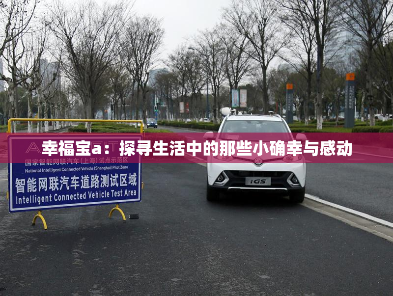 幸福宝a：探寻生活中的那些小确幸与感动
