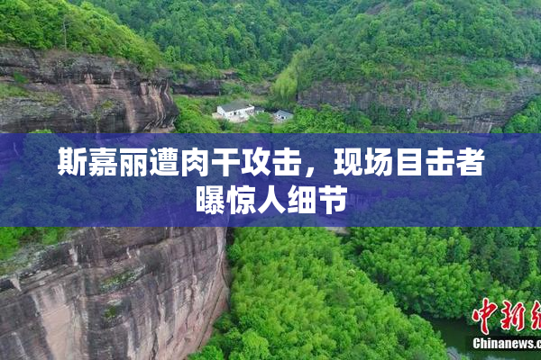 斯嘉丽遭肉干攻击，现场目击者曝惊人细节