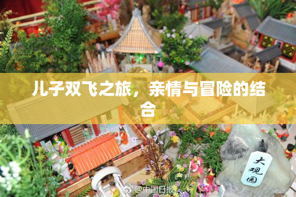儿子双飞之旅，亲情与冒险的结合