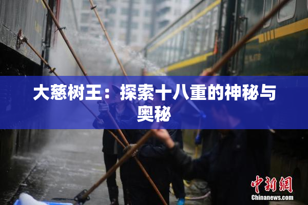 大慈树王：探索十八重的神秘与奥秘