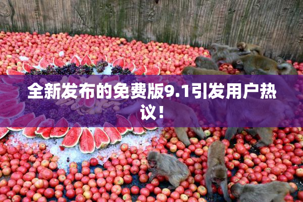 全新发布的免费版9.1引发用户热议！