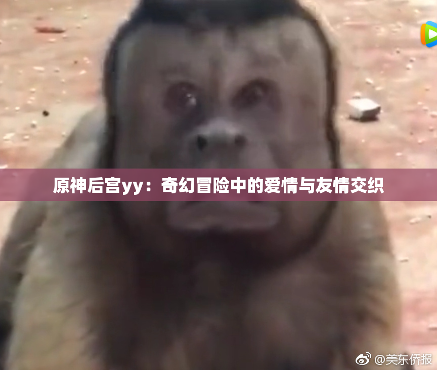 原神后宫yy：奇幻冒险中的爱情与友情交织