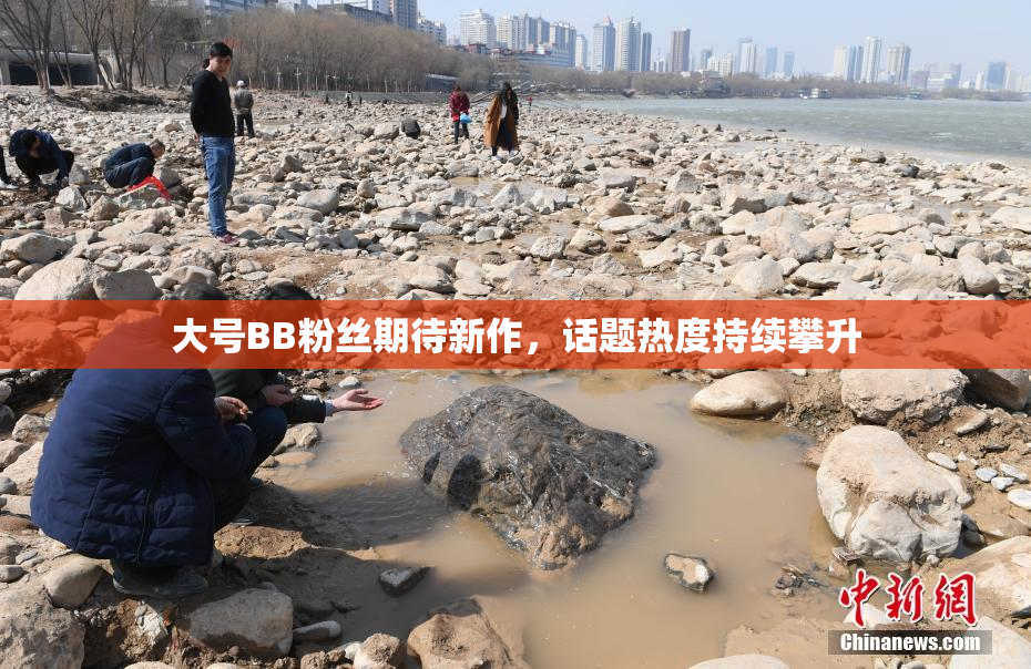 大号BB粉丝期待新作，话题热度持续攀升