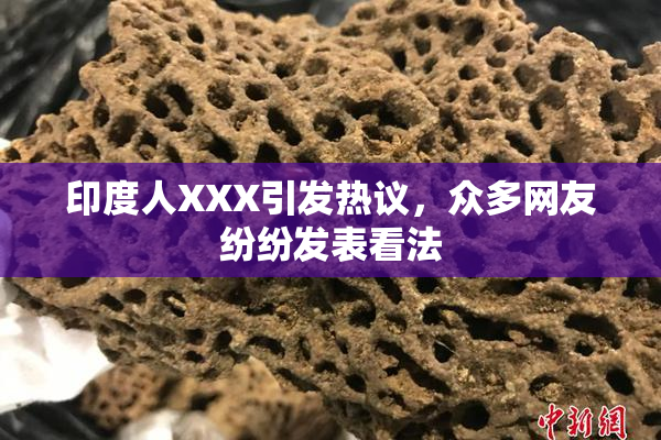 印度人XXX引发热议，众多网友纷纷发表看法