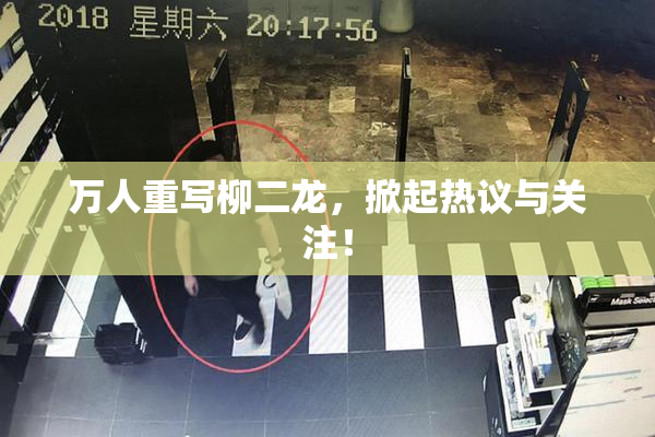万人重写柳二龙，掀起热议与关注！
