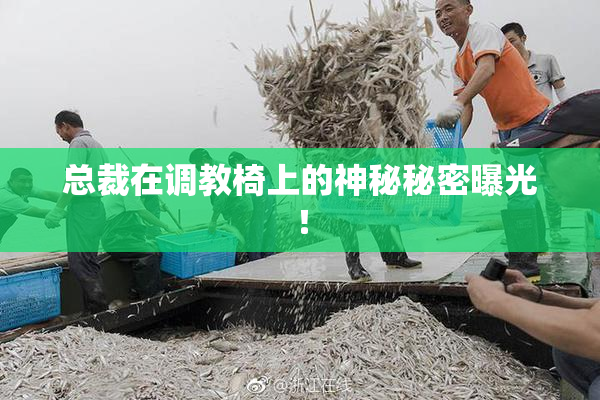 总裁在调教椅上的神秘秘密曝光！