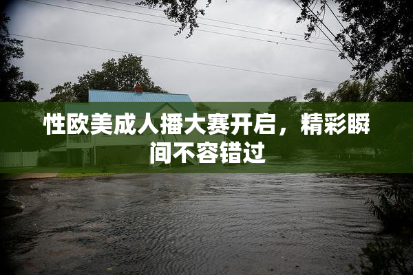 性欧美成人播大赛开启，精彩瞬间不容错过