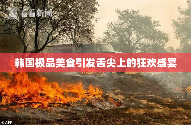 韩国极品美食引发舌尖上的狂欢盛宴