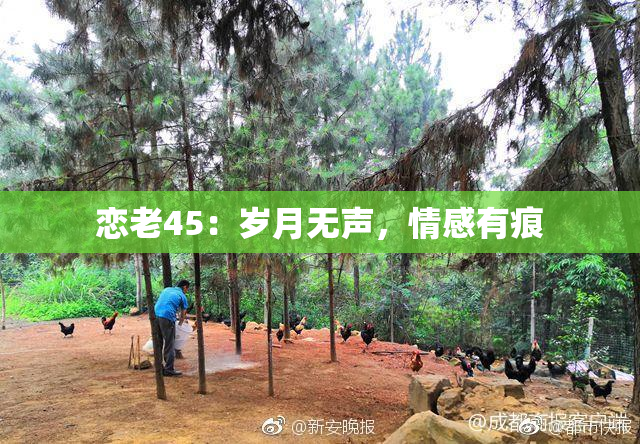 恋老45：岁月无声，情感有痕