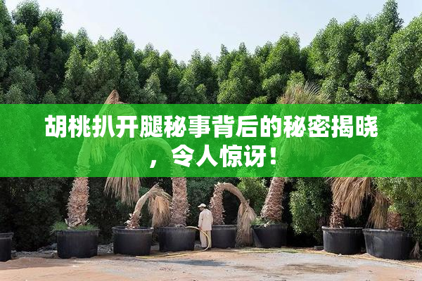 胡桃扒开腿秘事背后的秘密揭晓，令人惊讶！