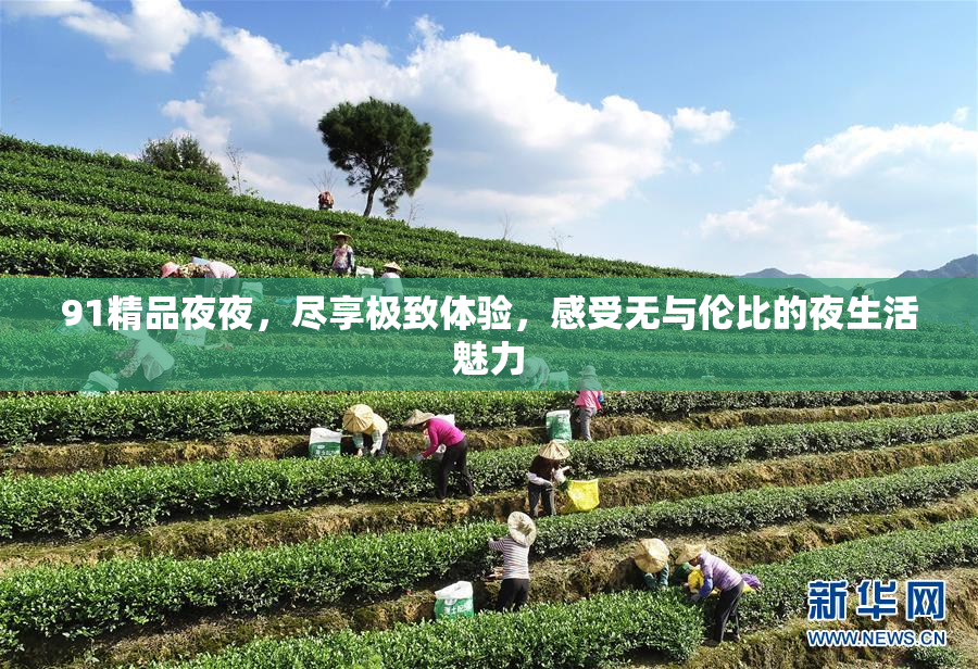 91精品夜夜，尽享极致体验，感受无与伦比的夜生活魅力