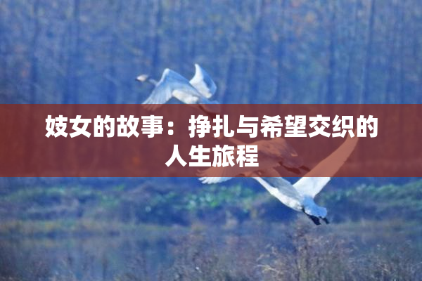 妓女的故事：挣扎与希望交织的人生旅程