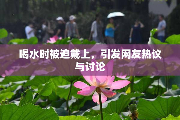 喝水时被迫戴上，引发网友热议与讨论