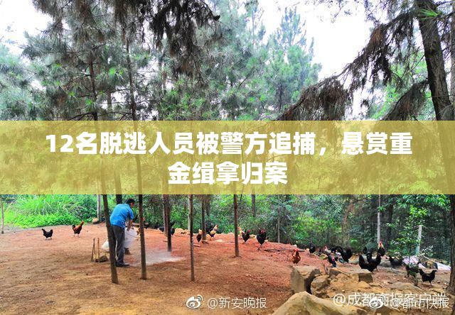 12名脱逃人员被警方追捕，悬赏重金缉拿归案