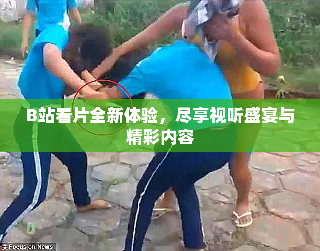 B站看片全新体验，尽享视听盛宴与精彩内容