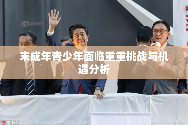 末成年青少年面临重重挑战与机遇分析