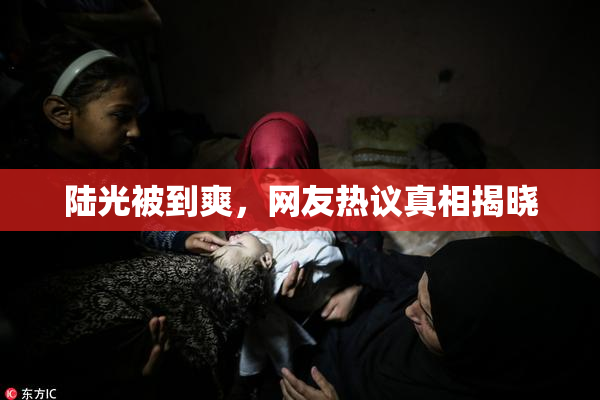 陆光被到爽，网友热议真相揭晓