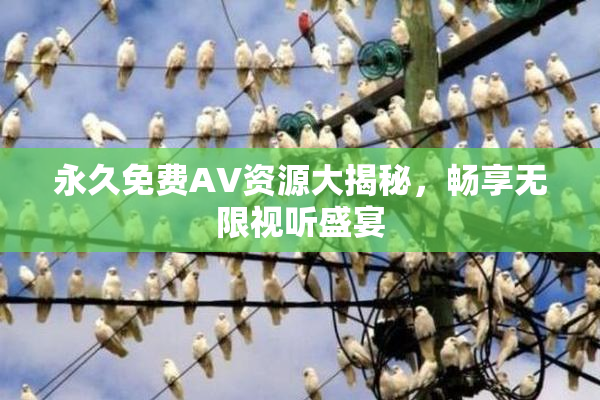 永久免费AV资源大揭秘，畅享无限视听盛宴