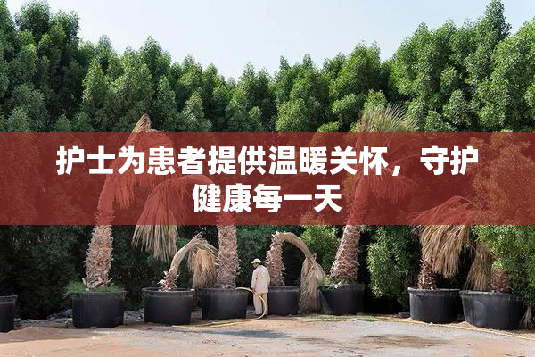 护士为患者提供温暖关怀，守护健康每一天
