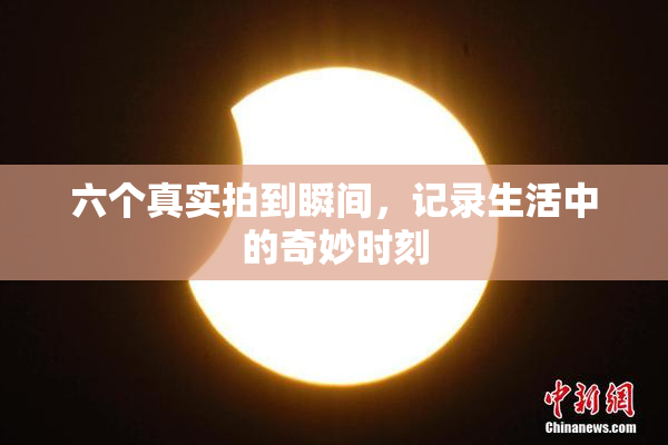 六个真实拍到瞬间，记录生活中的奇妙时刻