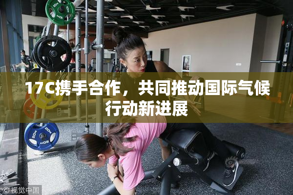 17C携手合作，共同推动国际气候行动新进展