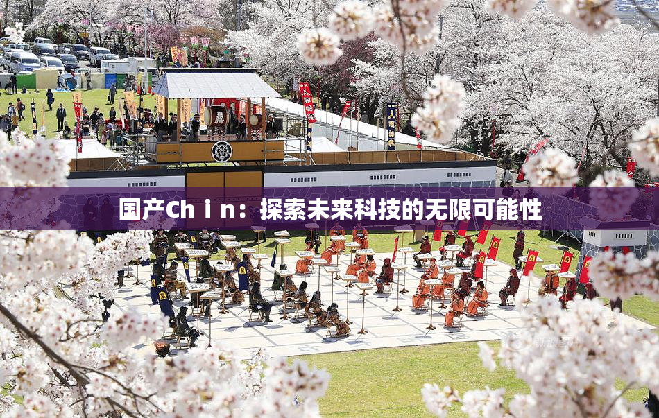 国产Chⅰn：探索未来科技的无限可能性