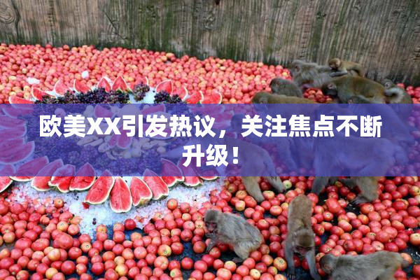 欧美XX引发热议，关注焦点不断升级！