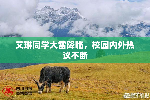 艾琳同学大雷降临，校园内外热议不断