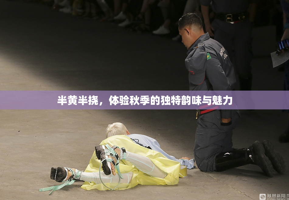 半黄半挠，体验秋季的独特韵味与魅力
