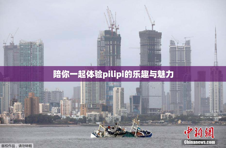 陪你一起体验pilipi的乐趣与魅力