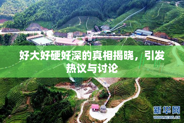 好大好硬好深的真相揭晓，引发热议与讨论