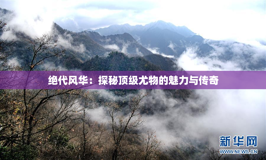 绝代风华：探秘顶级尤物的魅力与传奇